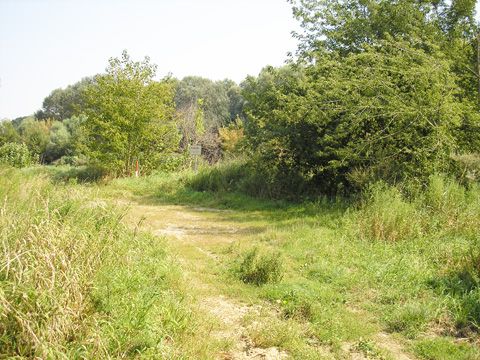 Foto 62